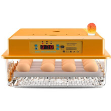 12 Egg Incubator with Auto Turning and Lighting, Large Capacity Transparent Design for Chicken Hatching