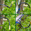 Professional Landscape Sprinkler System With 360-5 meters 7