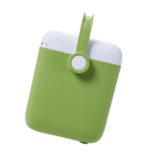Small 6L Green Insulated Cooler Box with Handle for Camping Fishing Travel, LongLasting Cold Retention