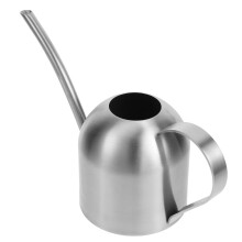 Stainless Steel Watering Can with Long Spout for Precise Indoor and Outdoor Plant Care Silver
