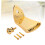 Gold Plated 8 String Mandolin Tailpiece with Screws, Triangle Design Replacement for Arched Mandolin 4