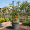 GEEZY GEEZY 4-Tier Tomato Planter Pot Vegetables Vine Trellis Support Climbing Vegetables 2