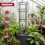 GEEZY GEEZY 4-Tier Tomato Planter Pot Vegetables Vine Trellis Support Climbing Vegetables 4