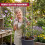 GEEZY GEEZY 4-Tier Tomato Planter Pot Vegetables Vine Trellis Support Climbing Vegetables 8