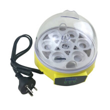 Quail Egg Incubator 7 Egg Semi Automatic Mini Incubator for Birds Compact Tabletop Home Use