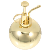 Stainless Steel Gold Watering Can for Indoor Plants with Long Spout and Ergonomic Grip Design