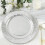 Talerze papierowe BalsaCircle Silver Metallic 10,5" Dinner i 7" 1