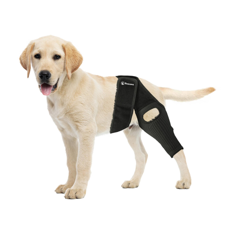 Dog Knee Brace for Small Dogs, Adjustable Support for Torn ACL, Rear Leg Stability and Comfort