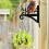 Iron Owl Design Hanging Bracket Plant Hangers Bracket Wall Mount 2