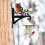 Iron Owl Design Hanging Bracket Plant Hangers Bracket Wall Mount 4
