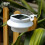 1 Pack Solar Fence Light - Automatic Dark Sensor, Detachable Path Light with 3 LED Beads 3