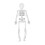 Halloween Skeleton Decor 11.5 Inch Posable Full Body 1