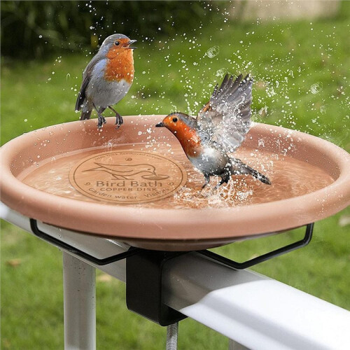 Bird Bath Copper Disk for Efficient Water Purification, Natural Algae Reduction and Easy Outdoor Bird Bath Maintenance