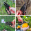 Adjustable -bypass pruners (reddish black) 5