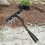 Manual Weeder Tool with Sharp Metal Claws, Ergonomic Weed Puller for Garden Lawn Backyard, 6 Tines 2