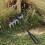 Manual Weeder Tool with Sharp Metal Claws, Ergonomic Weed Puller for Garden Lawn Backyard, 6 Tines 5