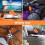 Extendable Microfiber Duster with Soft Head and Non‑Slip Grip for Home Car Ceiling Cleaning 4