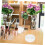 Round Bead Storage Containers Bulk Jewelry Organizer Box with Clear Secure Locking Lids 4
