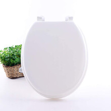 Raised Toilet Seat for Elderly and Disabled, Soft Close Comfort with Adjustable Arm Support, Easy Clean White