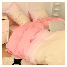 Gradient Color Bed Sheet Set 150 x 200 cm for Adults, Simple Four Piece Bedding Set