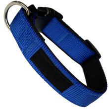 Actiaspet Neoprene Padded Blue Dog Collar, Small