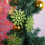 Snowflake Ornaments Light Blue 12PCS 3.9 inch 6