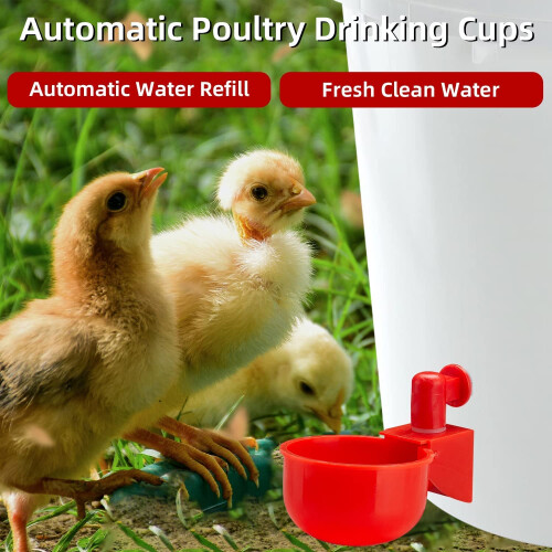 Automatic Chicken Waterer Kit, 8 Pack Poultry Water Cups 3/8 Inch Thread, Automatic Refill, Easy Install 2