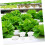 50pcs Hydroponic Net Pots for Vegetables and Herbs, Durable Plastic Baskets with Enhanced Root Aeration and Fast Drainage 5