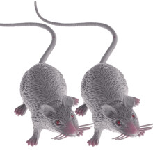 2 Pack Halloween Rat Decoration Set, Realistic Fake Rat Toy with Lifelike Gray Design for Spooky Pranks and Haunted House Decor