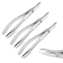 Set of 3 Dental Extracting Forceps #44 Stainless Steel Tooth Extraction Instruments with Ergonomic Grip