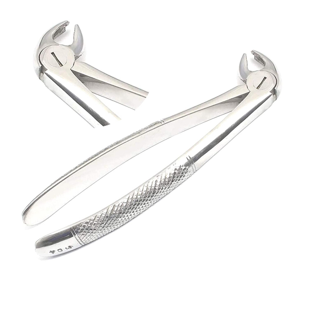 MD4 Dental Extraction Forceps English Pattern for Lower Molar Teeth, Ergonomic Grip and Corrosion Resistant