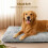 Skylos Large Dog Bed Mattress Soft Plush Cat 4