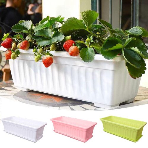 Large Plastic Planter Box with Tray, Rectangular Balcony Flower Pot for Vegetables and Flowers, White 2
