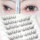 10 Rows Natural Cluster False Eyelashes ?C Light "Plain Girl" Look 1