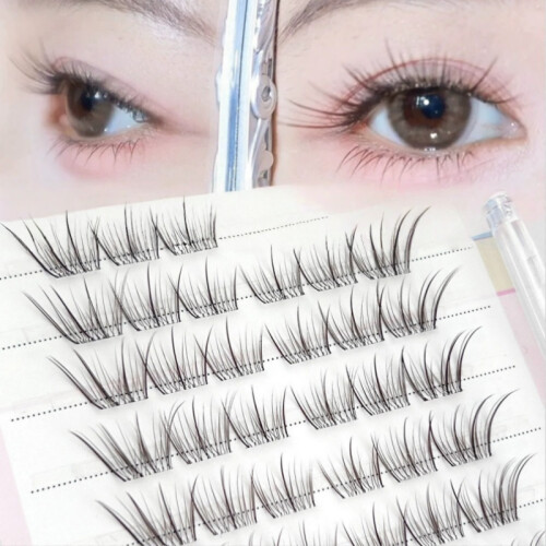 10 Rows Natural Cluster False Eyelashes ?C Light "Plain Girl" Look