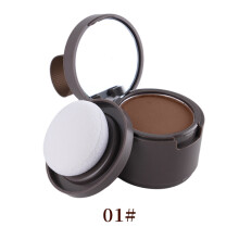 (01#) Waterproof Hair Shadow Powder Hair Line Repair Shadow Edge Control Concealer