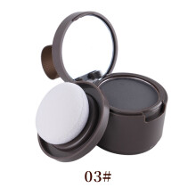 (03#) Waterproof Hair Shadow Powder Hair Line Repair Shadow Edge Control Concealer