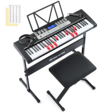 61 Key Piano Keyboard, Electric Keyboard Piano with Light-Up Keys, 255 Tones/Rhythms, Smart Learning System, Headphone, Microphone, Keyboard Stand, S