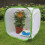 Cage portable pour insectes et papillons, habitat et élevage 3