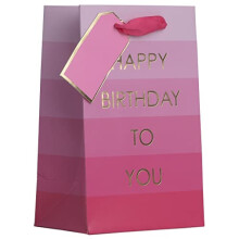 Partisan Products Happy Birthday Girl Pink Occassions Gift Bag With Gift Tag Made From Recycled Board Small
