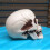 Donemore plasthodeskalle – realistisk Halloween-dekor, 5