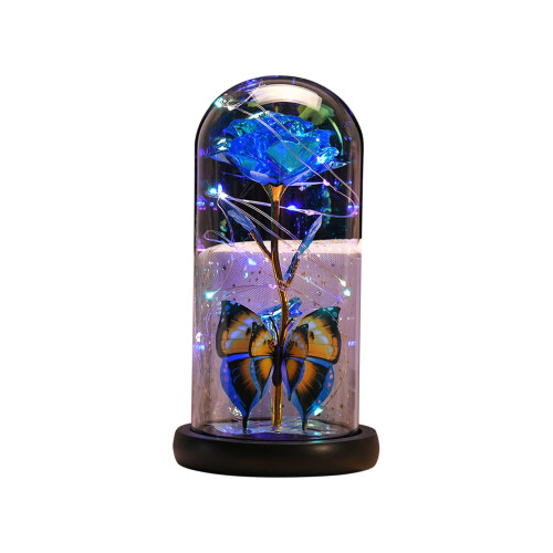Lampe LED 30cm 1