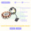 Coil 12 Pole Stator  Coil Ignition Stator for GY6 125Cc 150Cc 10