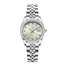 SHENGKE Women's Crystal Accented with Solid Alloy Steel Band Watch Elegant Dress Quartz Calendar Watches for Women (Silver&Light Green Beige)