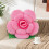 Rose Plush Pillow Pink 30x30cm Short Plush 5