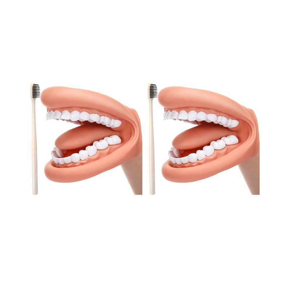 Wella Elements 2Pcs Mouth Puppet With Tongue Teeth Mouth Hand Puppet Dental Mouth Model With Toothbrush For Boy Girl Educational Tool