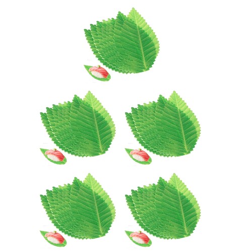 1000Pcs Green Sushi Decorative Leaves for Sashimi