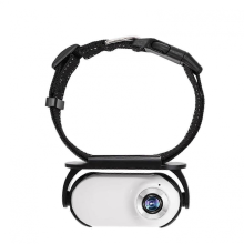Collar con cámara para perros, para interiores y exteriores, cámara de video HD para mascotas, collar DVR para grabación de video 25-26