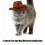 Easyly Clean Nonwoven Western Denims Hat for Pet-brown M 7