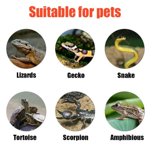 Reptile Heating Pad for Spider Snake Lizard Hedgehog Hamster Pet Terrarium Insulation Mat Adjustable EU Plug 2